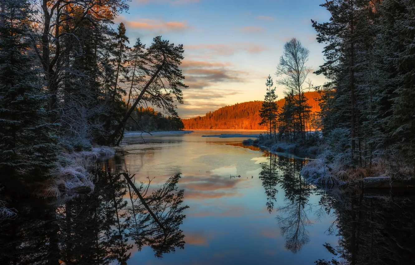 Photo wallpaper forest, water, snow, trees, sunset, reflection, river, the evening
