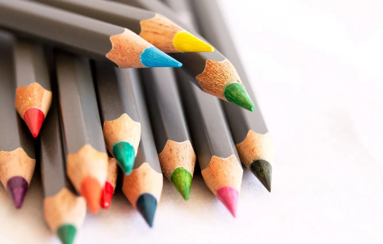 Photo wallpaper colored, pencils, the office