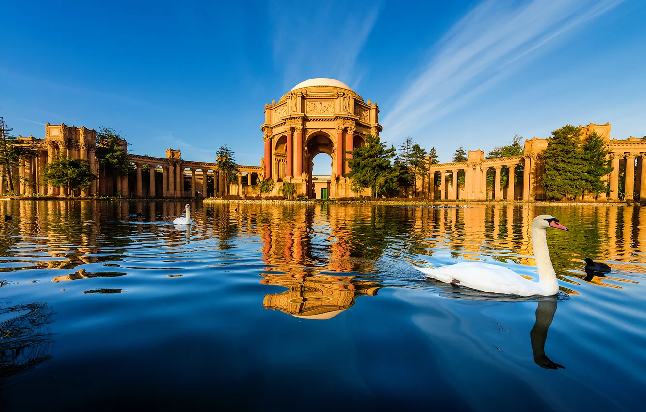 Photo wallpaper the sky, pond, bird, San Francisco, USA, architecture, swans, arcade