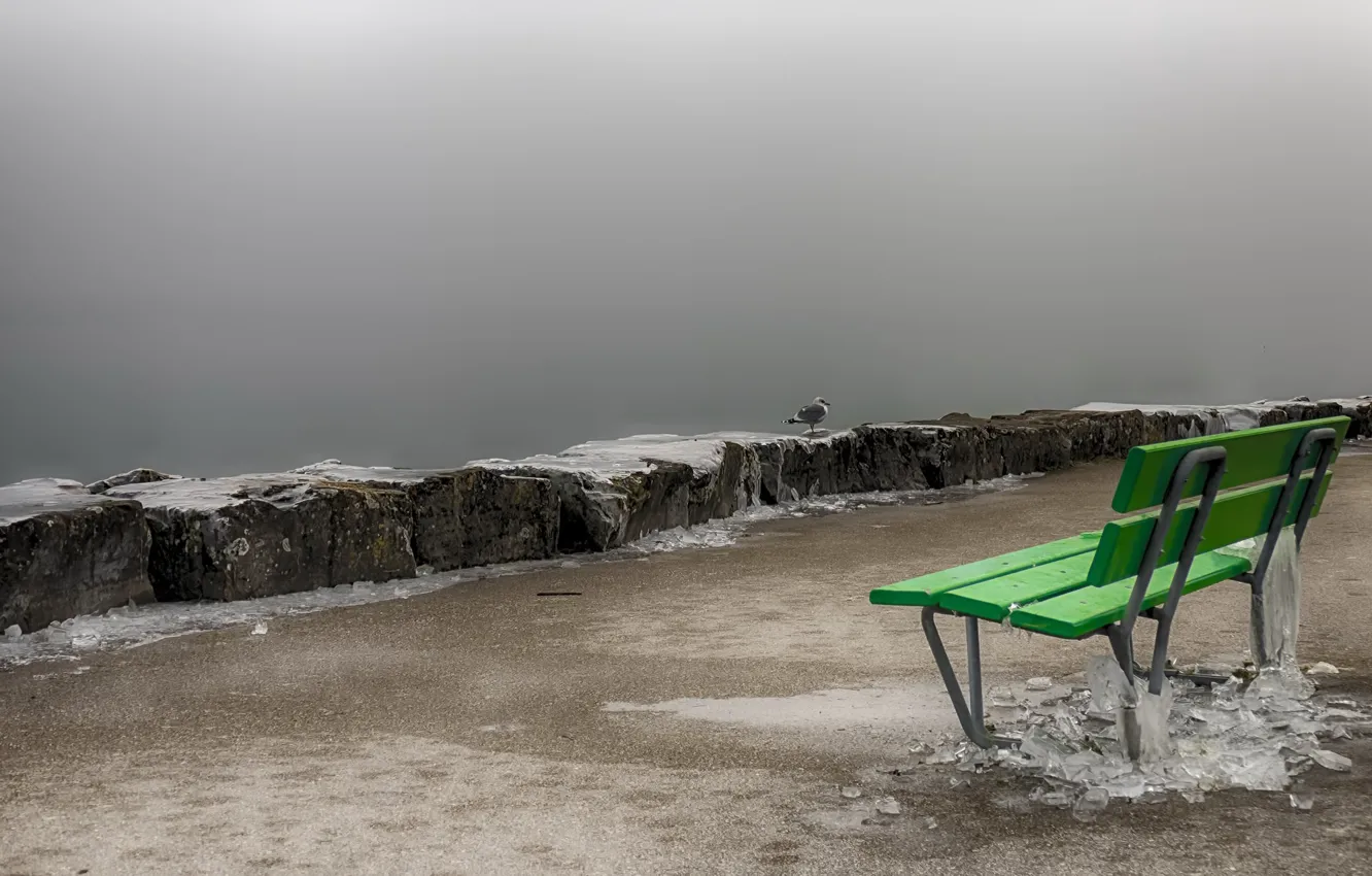 Photo wallpaper fog, bird, shore, bench