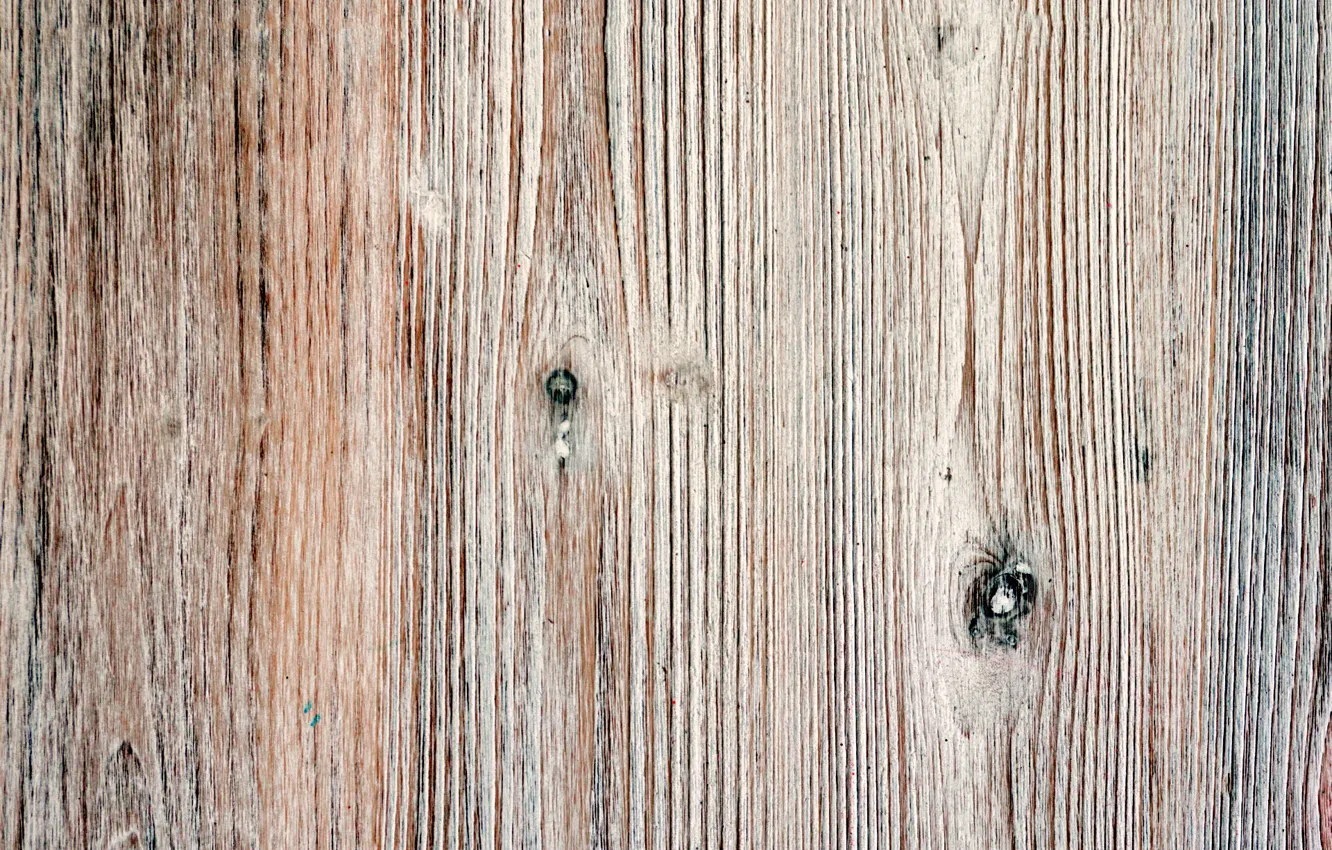 Photo wallpaper color, wood, texture