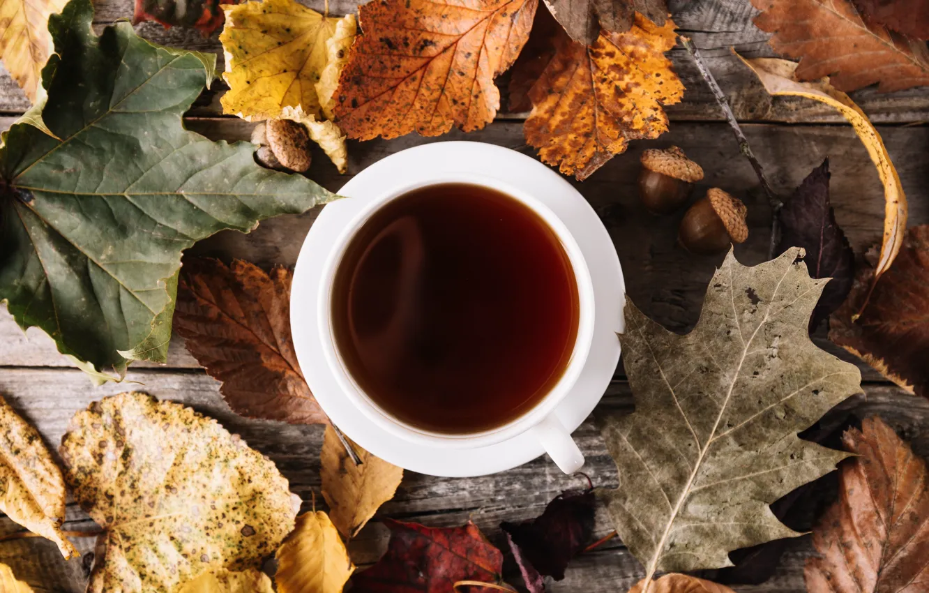 Photo wallpaper autumn, leaves, tea, drink