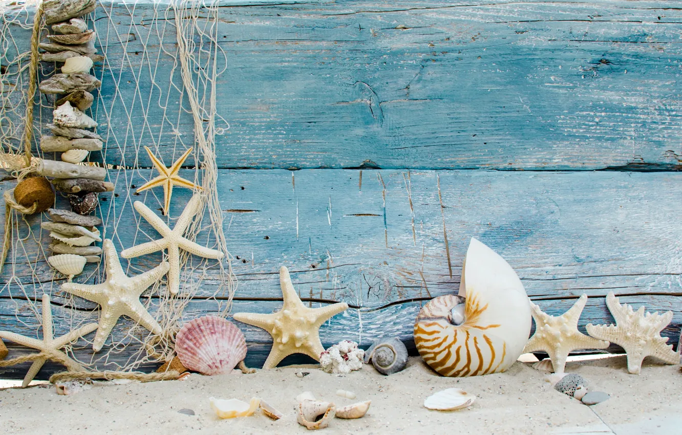 Photo wallpaper sand, beach, stars, shell, beach, wood, sand, marine
