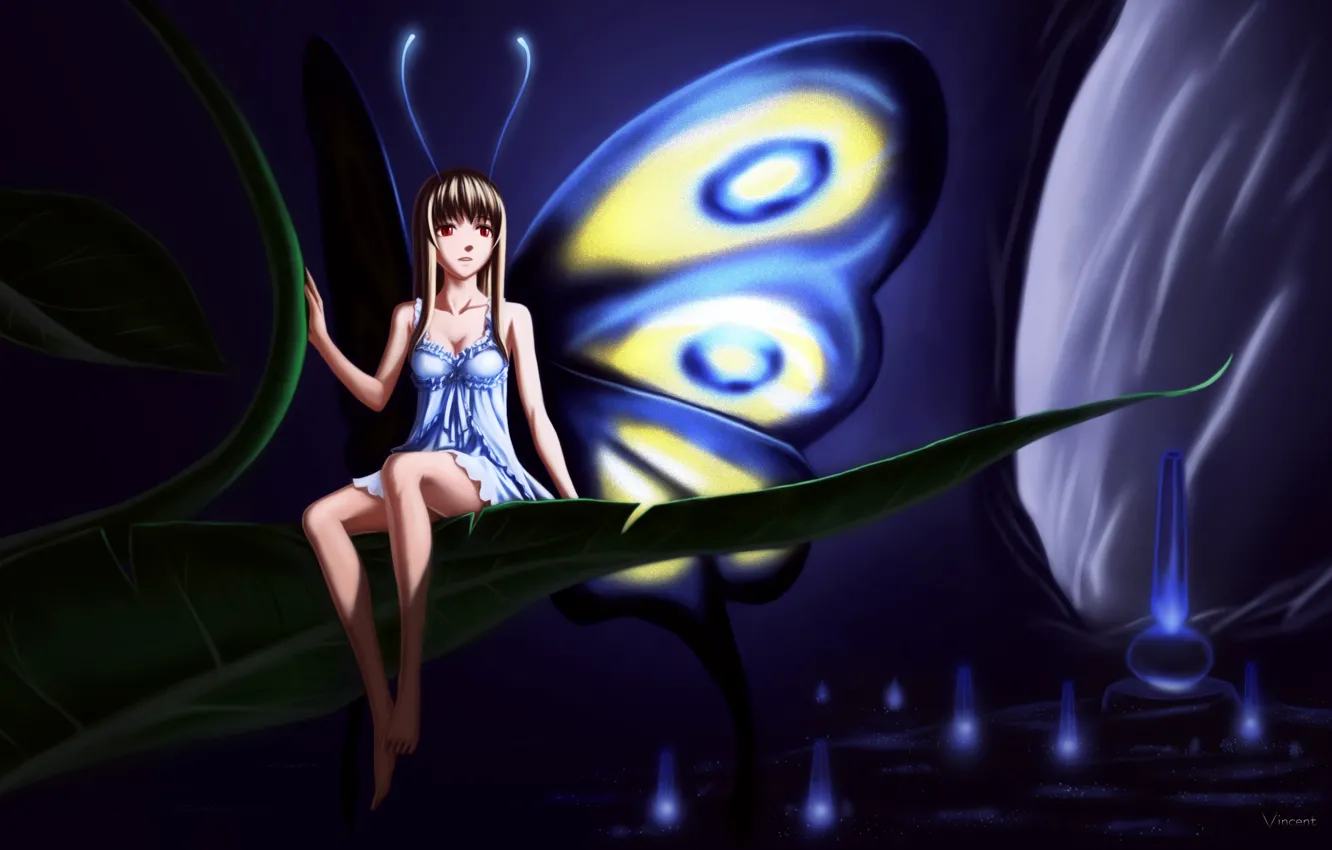 Photo wallpaper anime, fairy, vincent