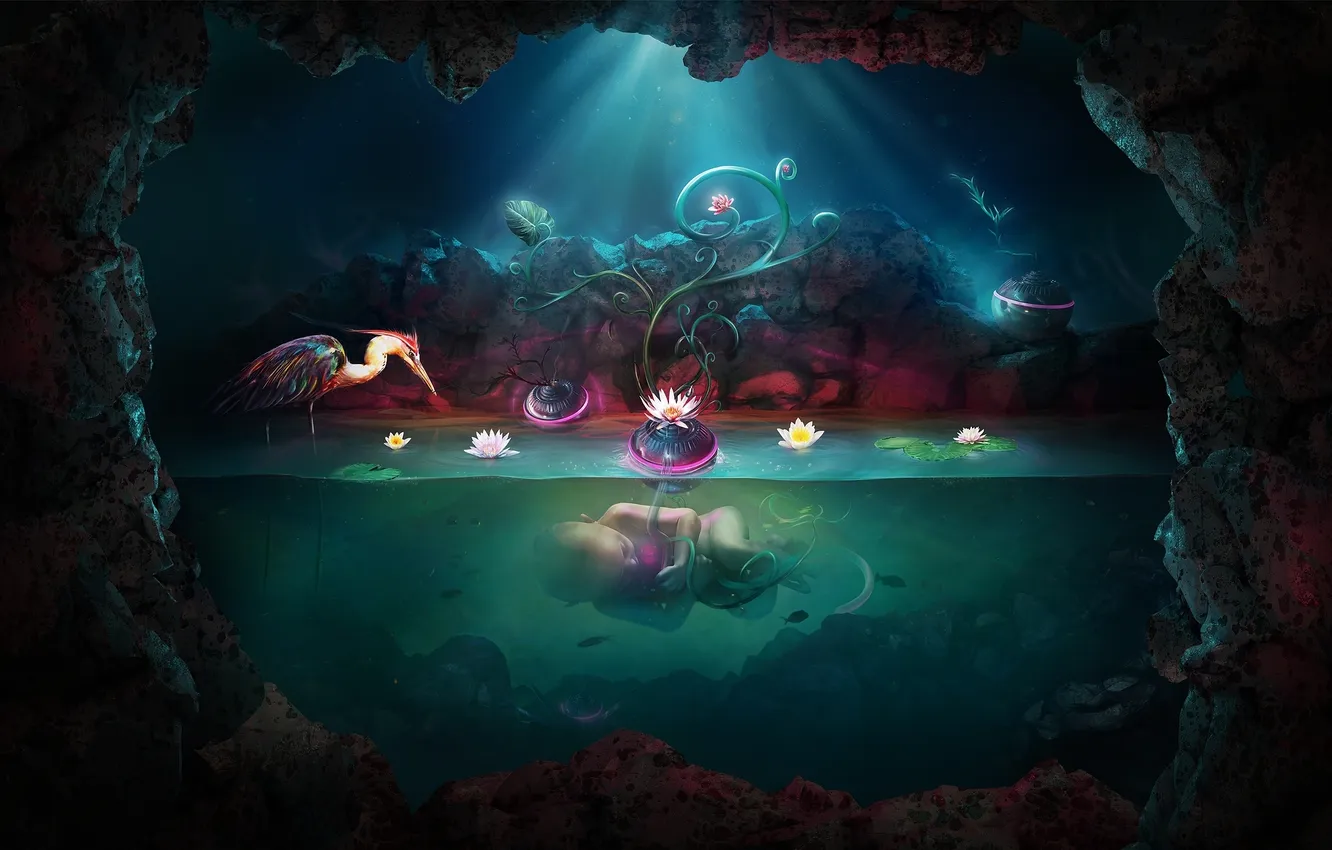 Photo wallpaper water, children, creative, fantasy, bird, Lily, Desktop, wallpaper