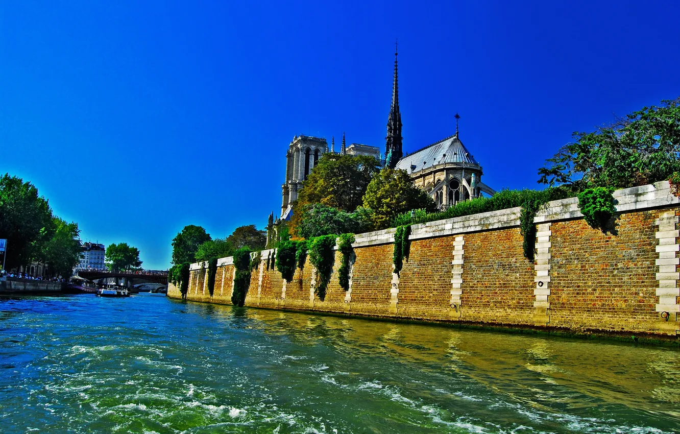 Photo wallpaper trees, bridge, river, France, Paris, Hay, Notre Dame Cathedral