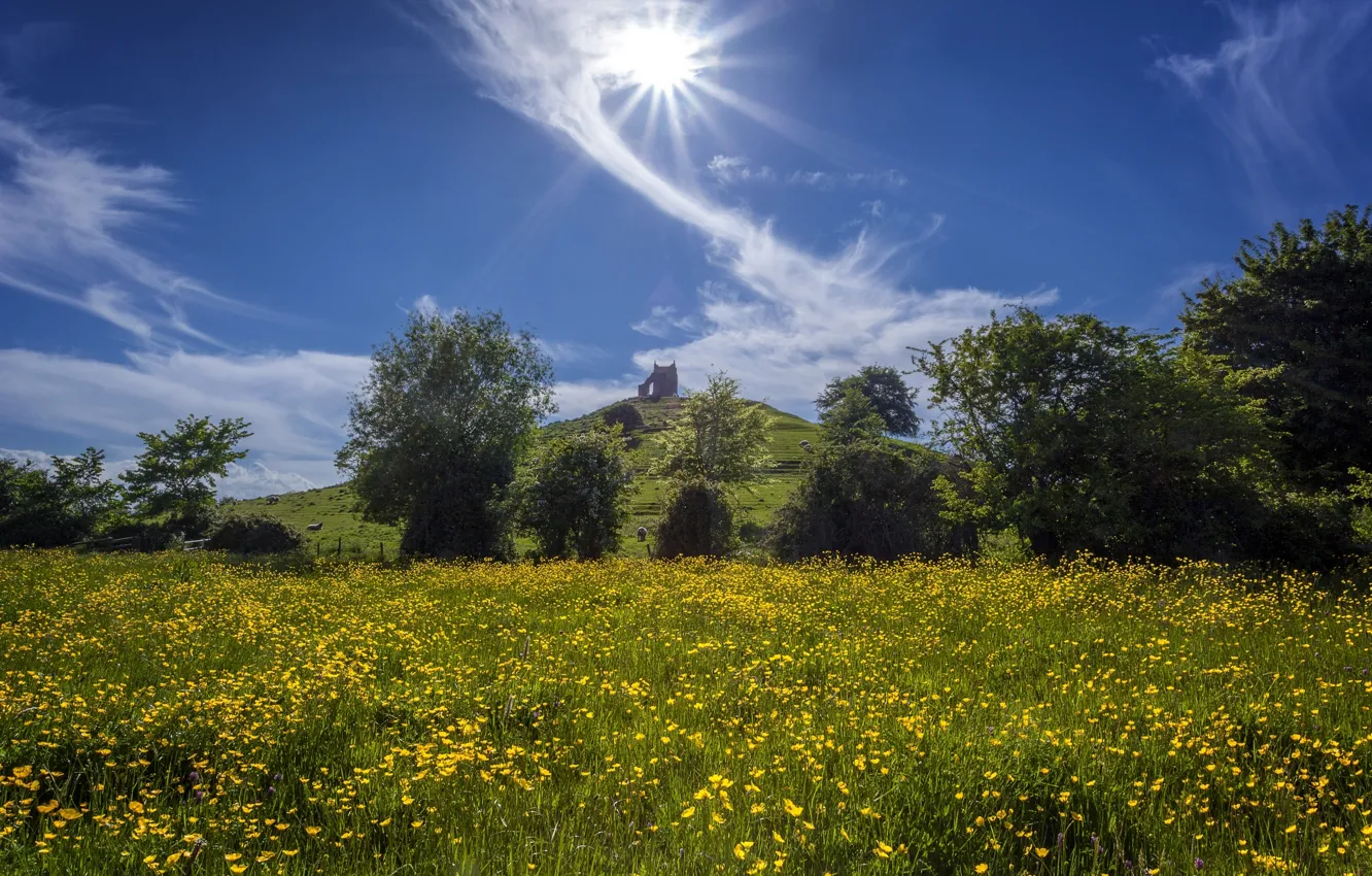 Photo wallpaper the sky, clouds, trees, flowers, hills, England, meadow, England
