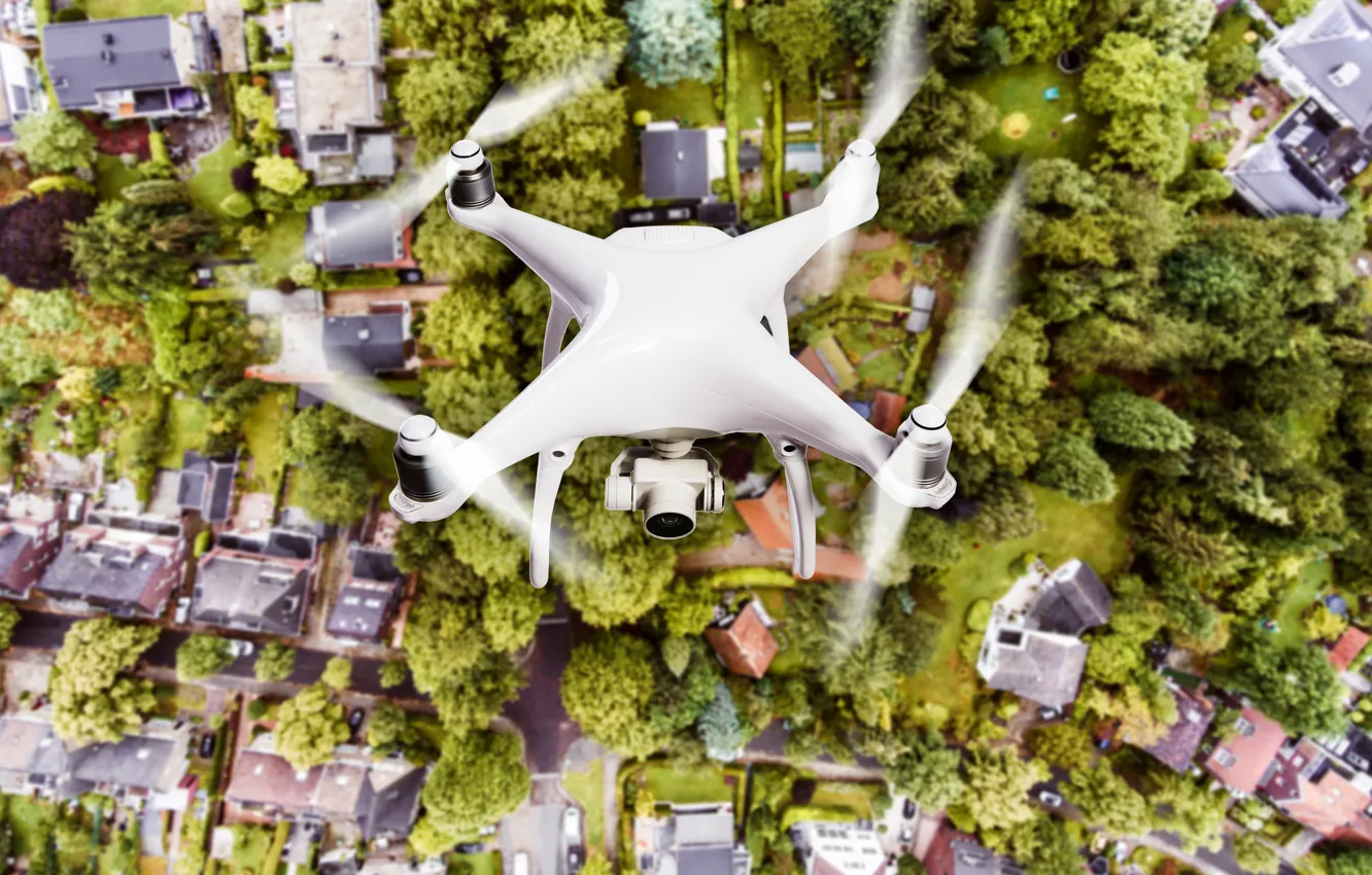 Photo wallpaper white, trees, drones