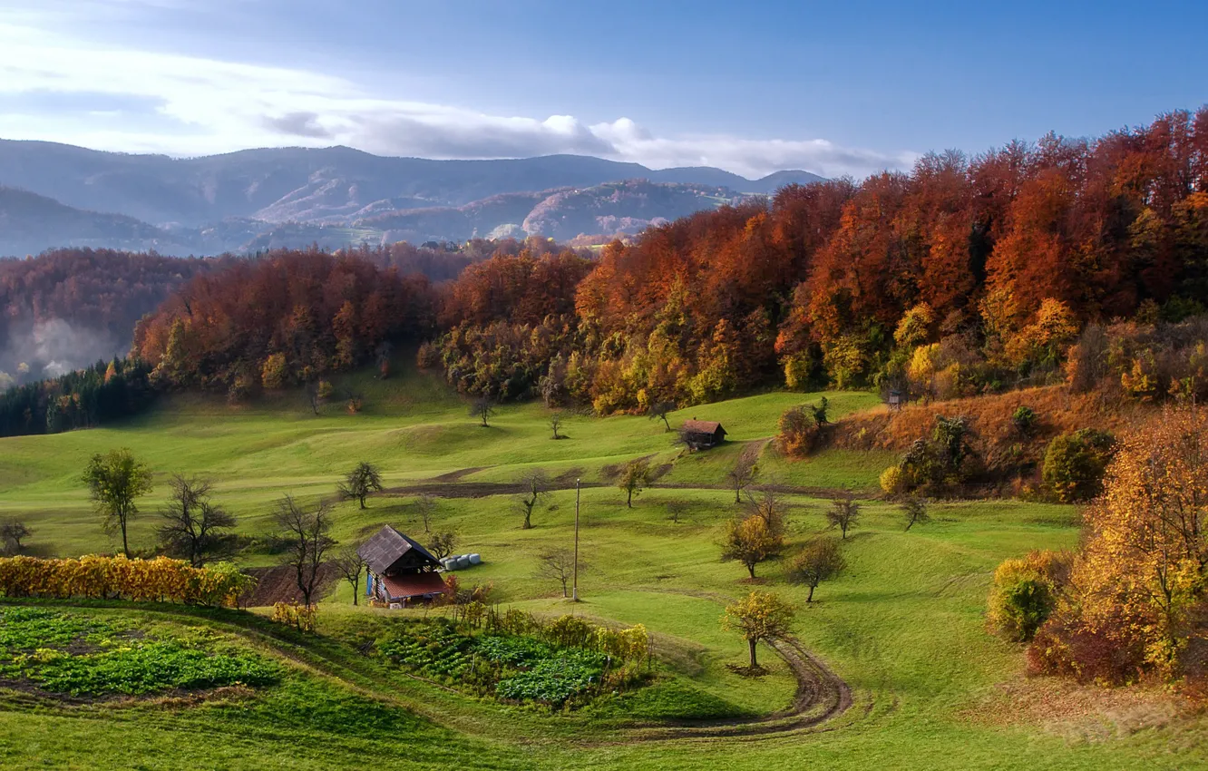 Photo wallpaper forest, mountains, house