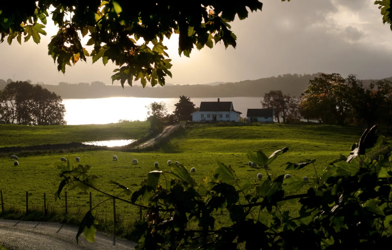 Photo wallpaper road, field, landscape, river, home, morning