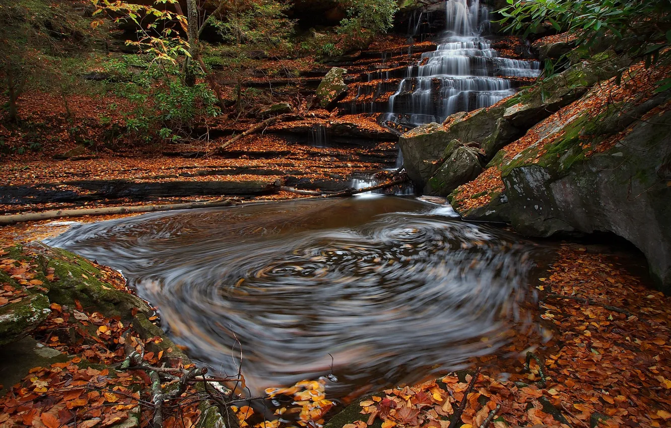 Photo wallpaper autumn, leaves, nature, waterfall