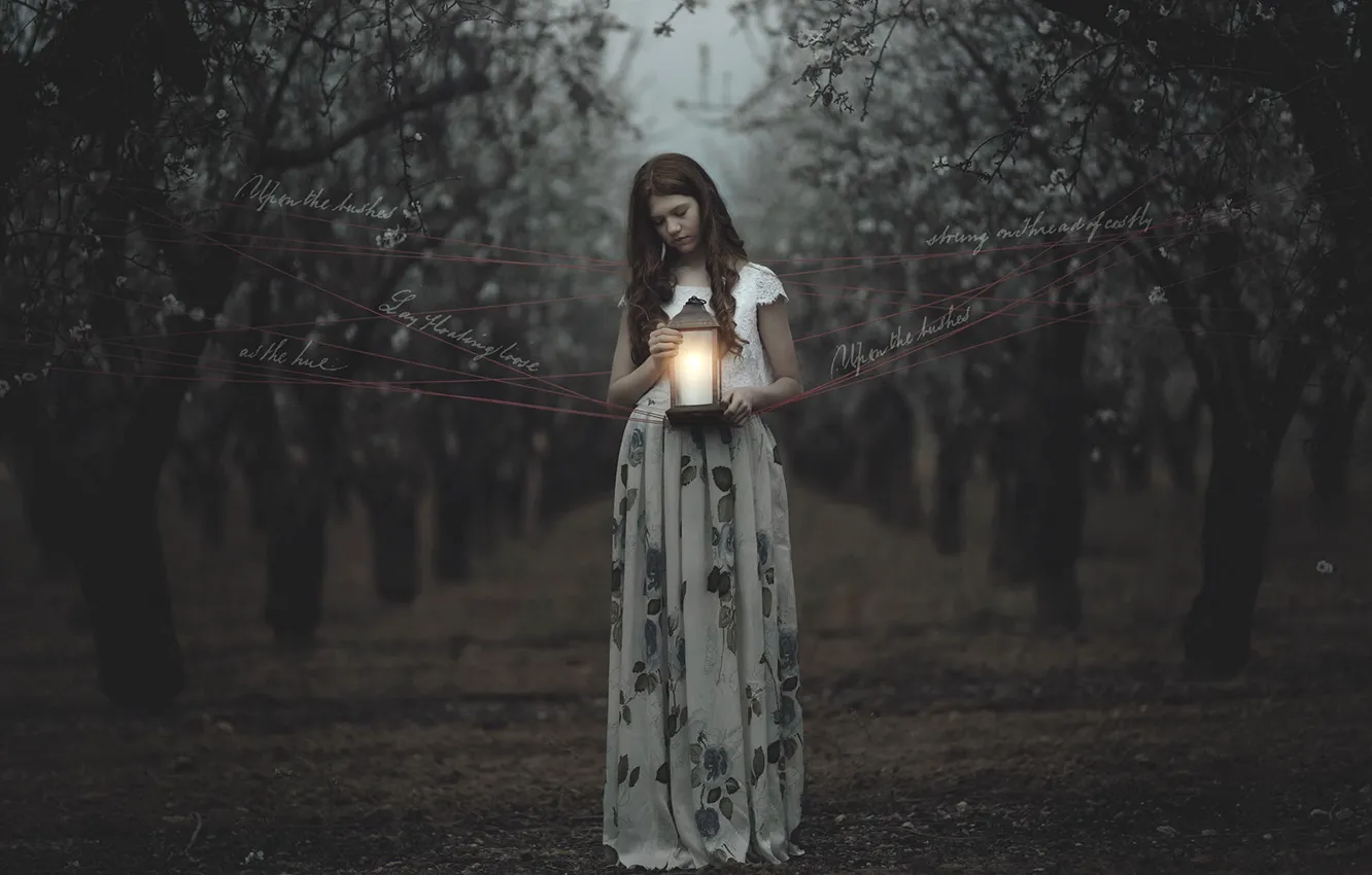 Photo wallpaper girl, garden, lights