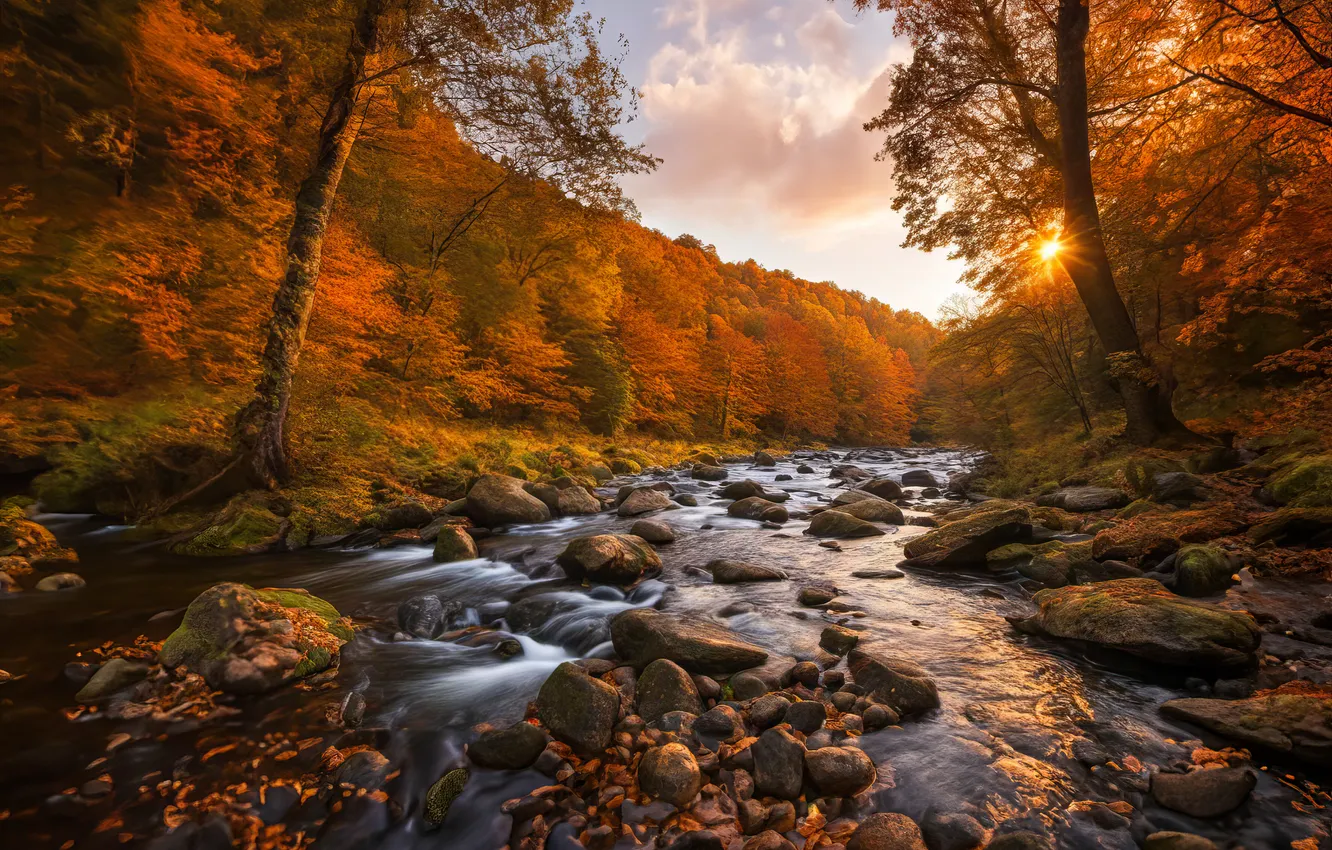 Photo wallpaper autumn, trees, stones, river