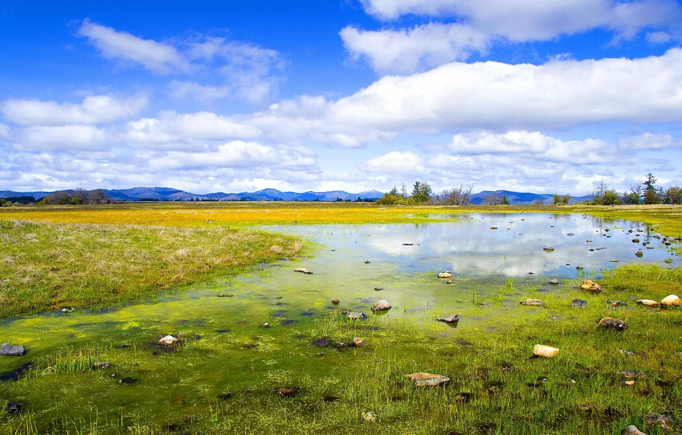 Photo wallpaper summer, the sky, grass, clouds, mountains, nature, glade, swamp
