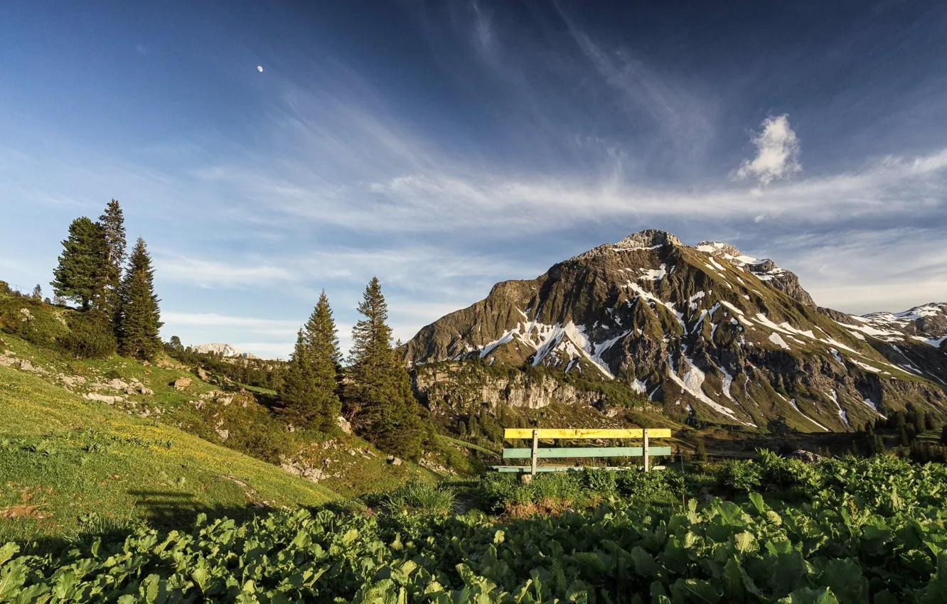Photo wallpaper the sky, mountains, plant