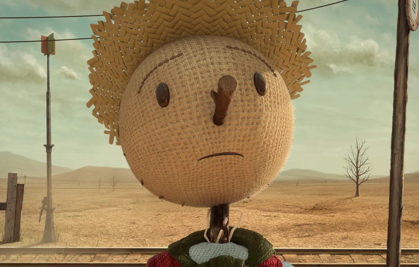 Photo wallpaper face, wire, hat, railroad, Scarecrow, The Scarecrow, bitch