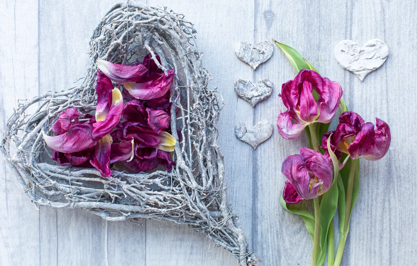 Photo wallpaper flowers, sprig, heart, Board, petals, hearts, tulips, pink