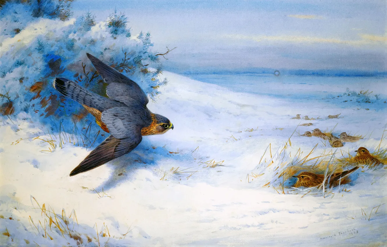 Photo wallpaper winter, grass, snow, flight, bird, wings, picture, Scottish painter