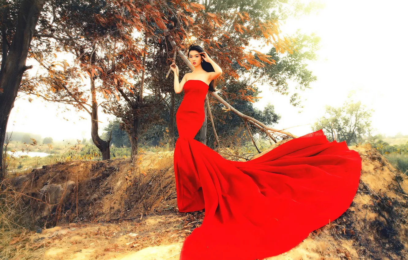 Photo wallpaper look, girl, pose