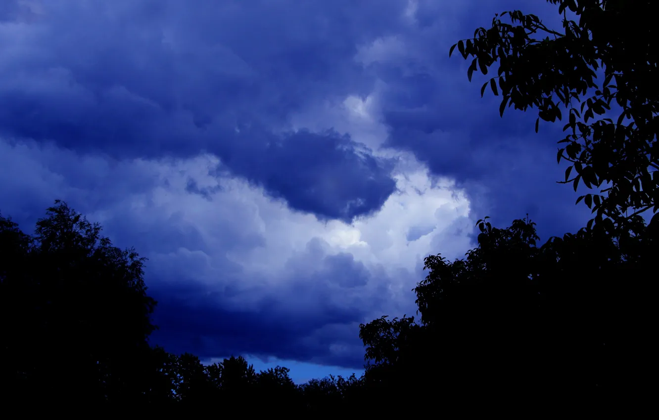 Photo wallpaper storm, sky, cloud, tree