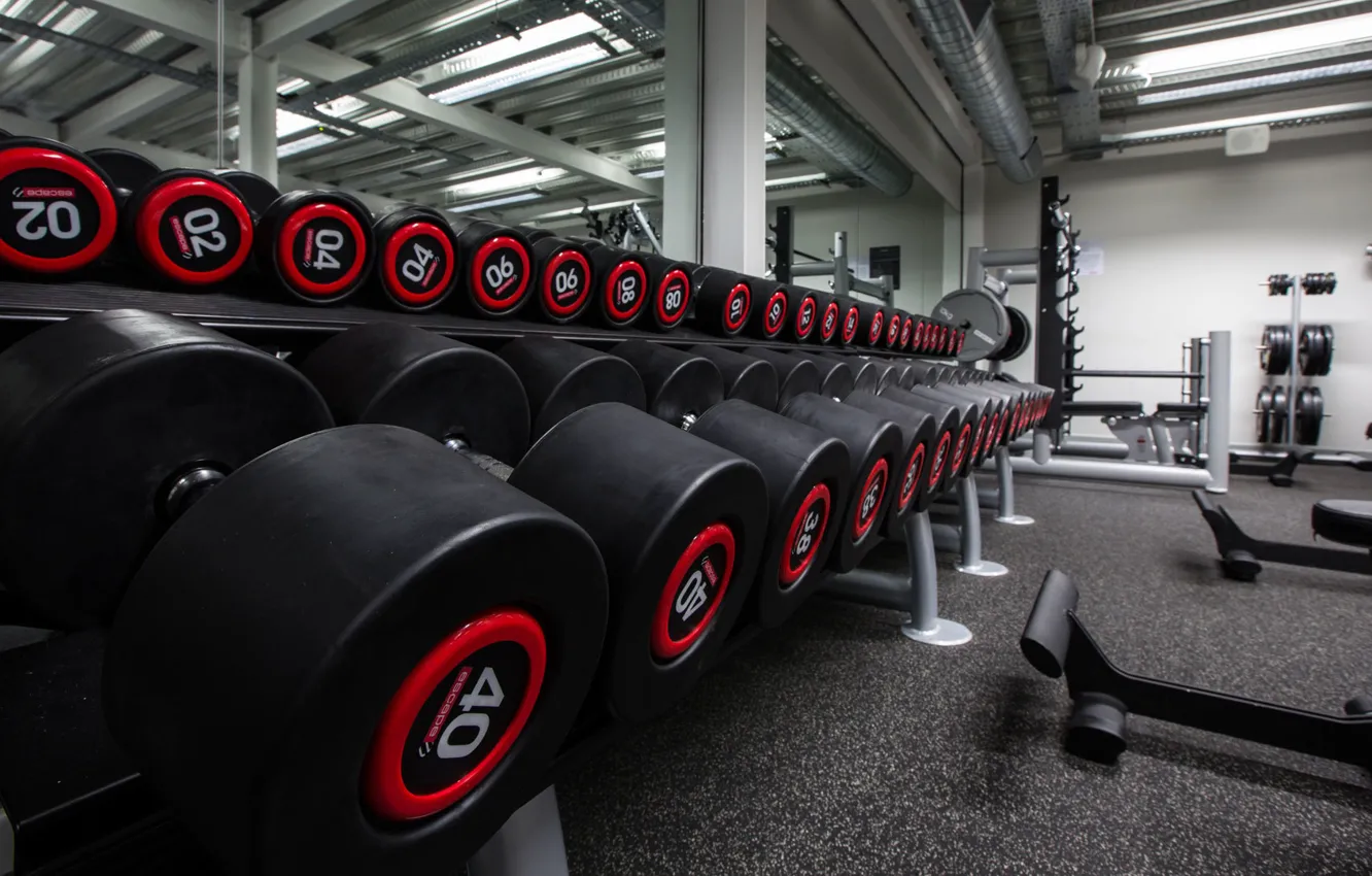 Photo wallpaper interior, hall, rocking, dumbbells, gym, fitness