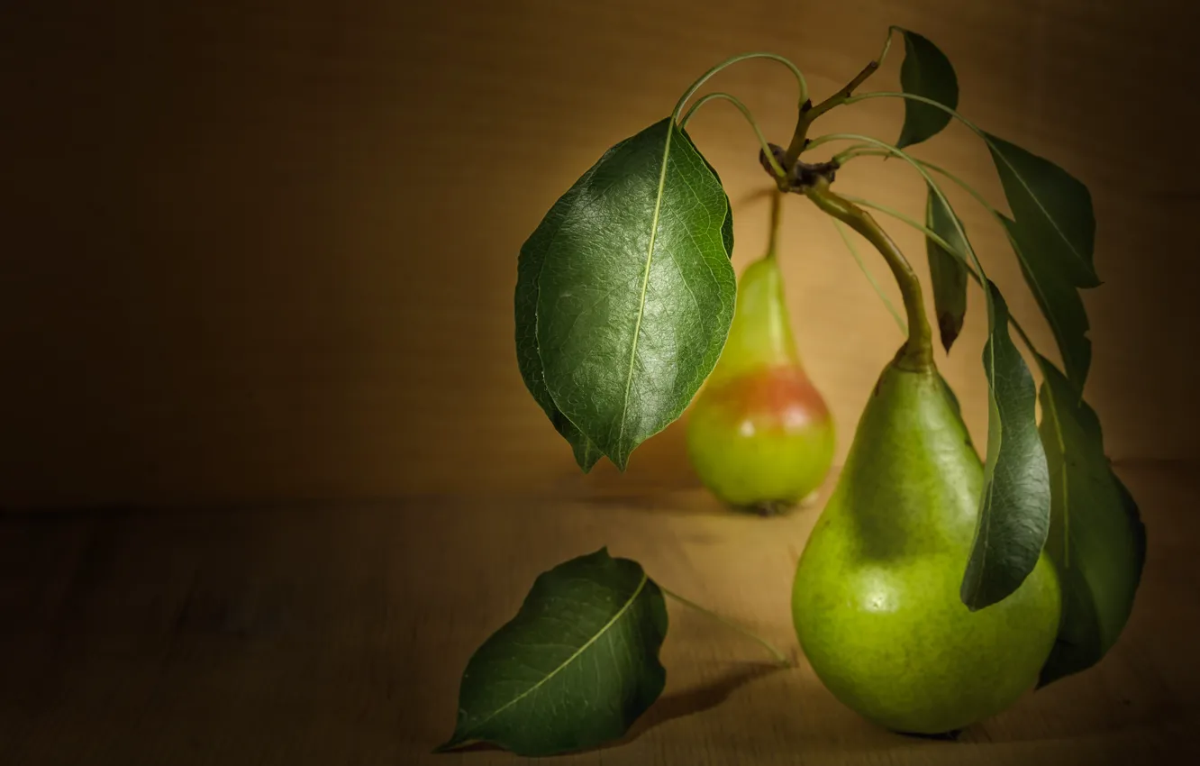 Photo wallpaper leaves, wall, pear, still life, pear, bokeh