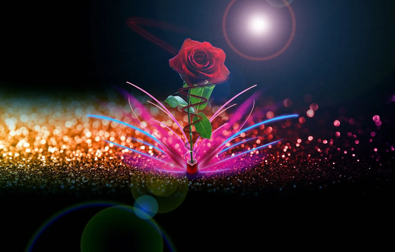 Photo wallpaper flowers, abstraction, creative, roses