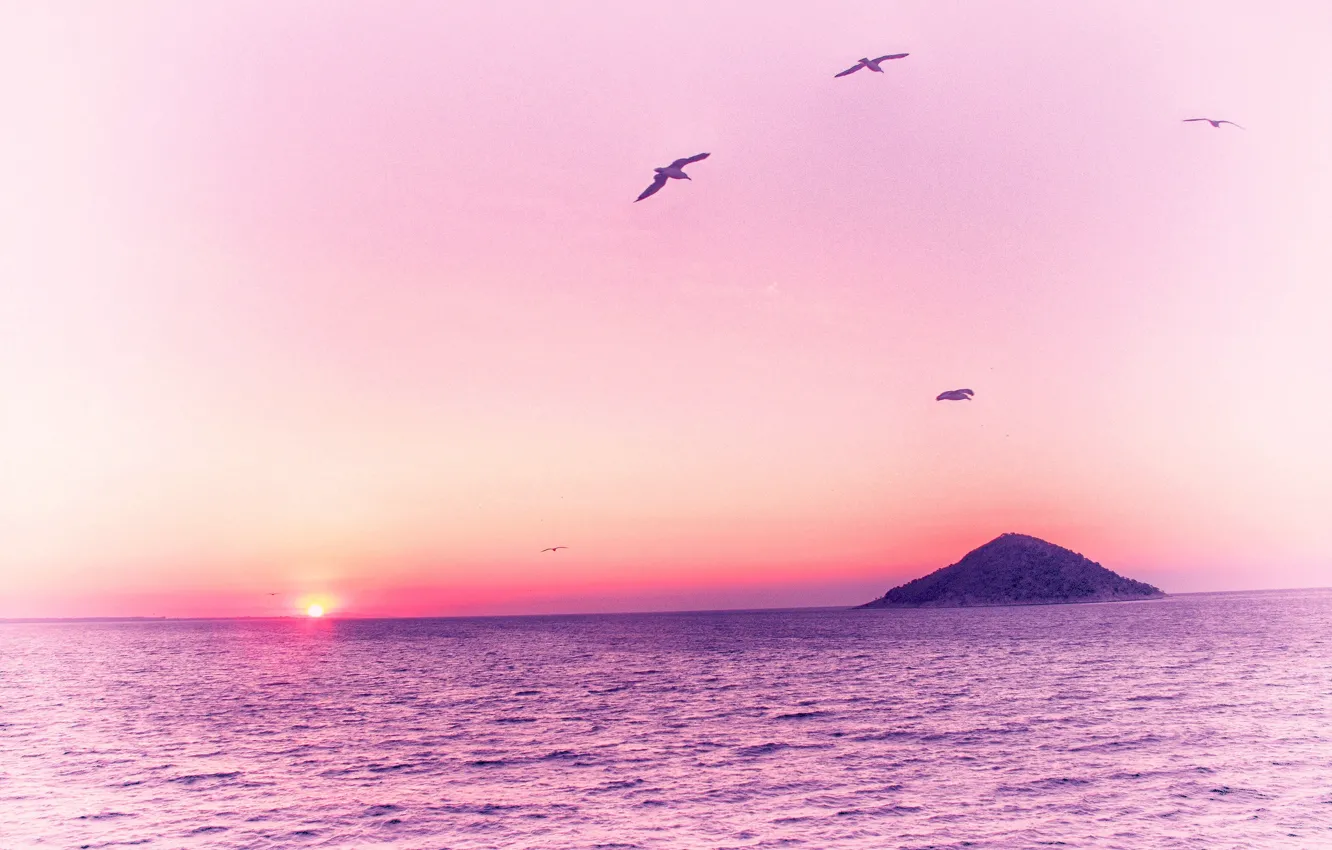 Photo wallpaper sea, dawn, bird, island, pink