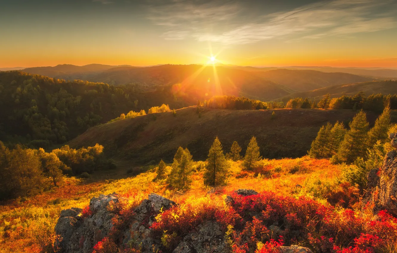 Photo wallpaper autumn, the sun, rays, trees, landscape, mountains, nature, stones