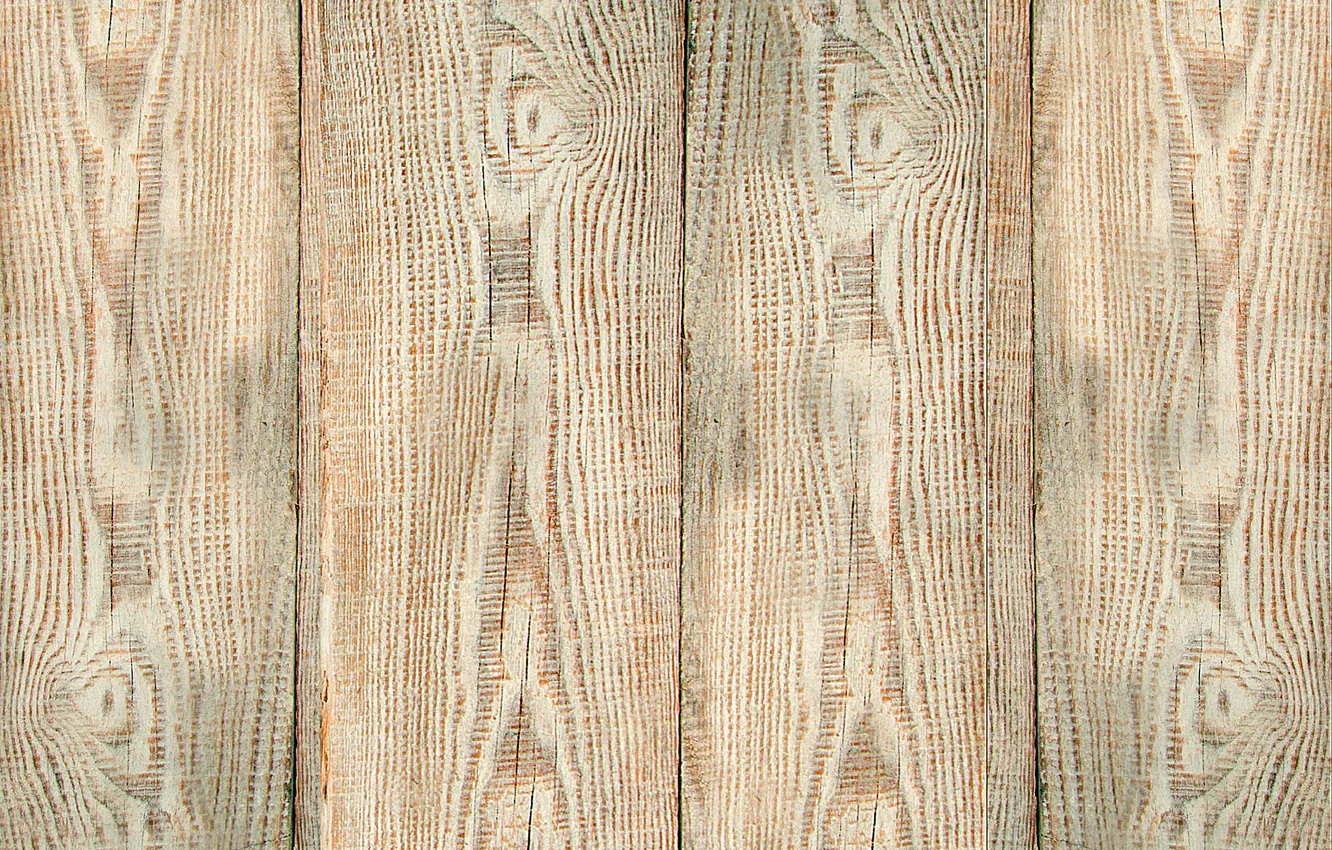 Photo wallpaper texture, finish, under the tree