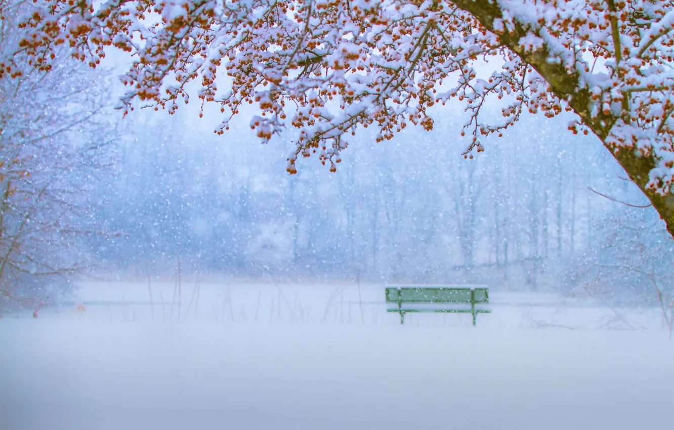 Photo wallpaper winter, snow, trees, bench, Park, snowfall