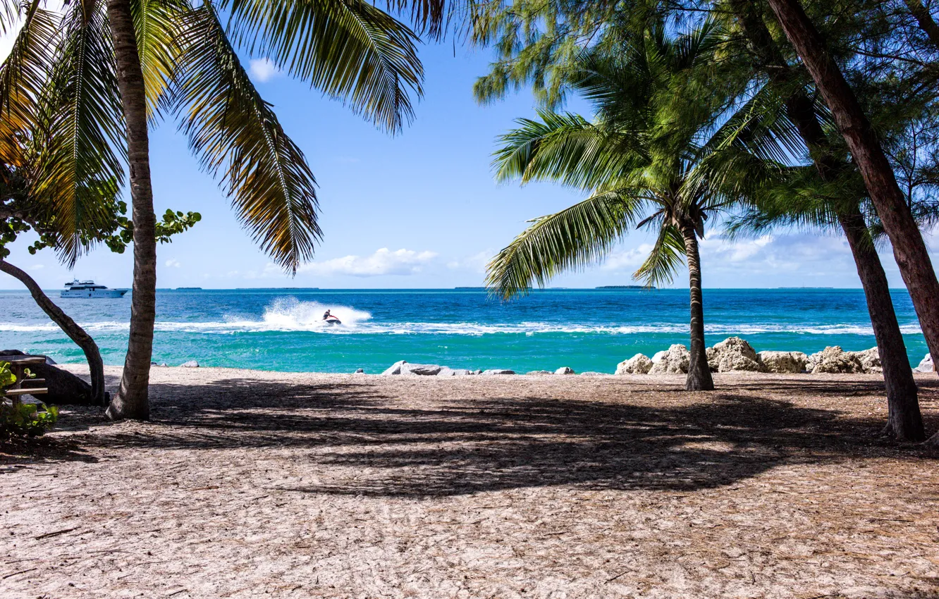 Photo wallpaper sand, sea, water, nature, palm trees, the ocean