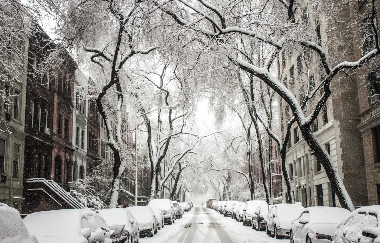 Photo wallpaper winter, snow, the city, tree, Street, the snow