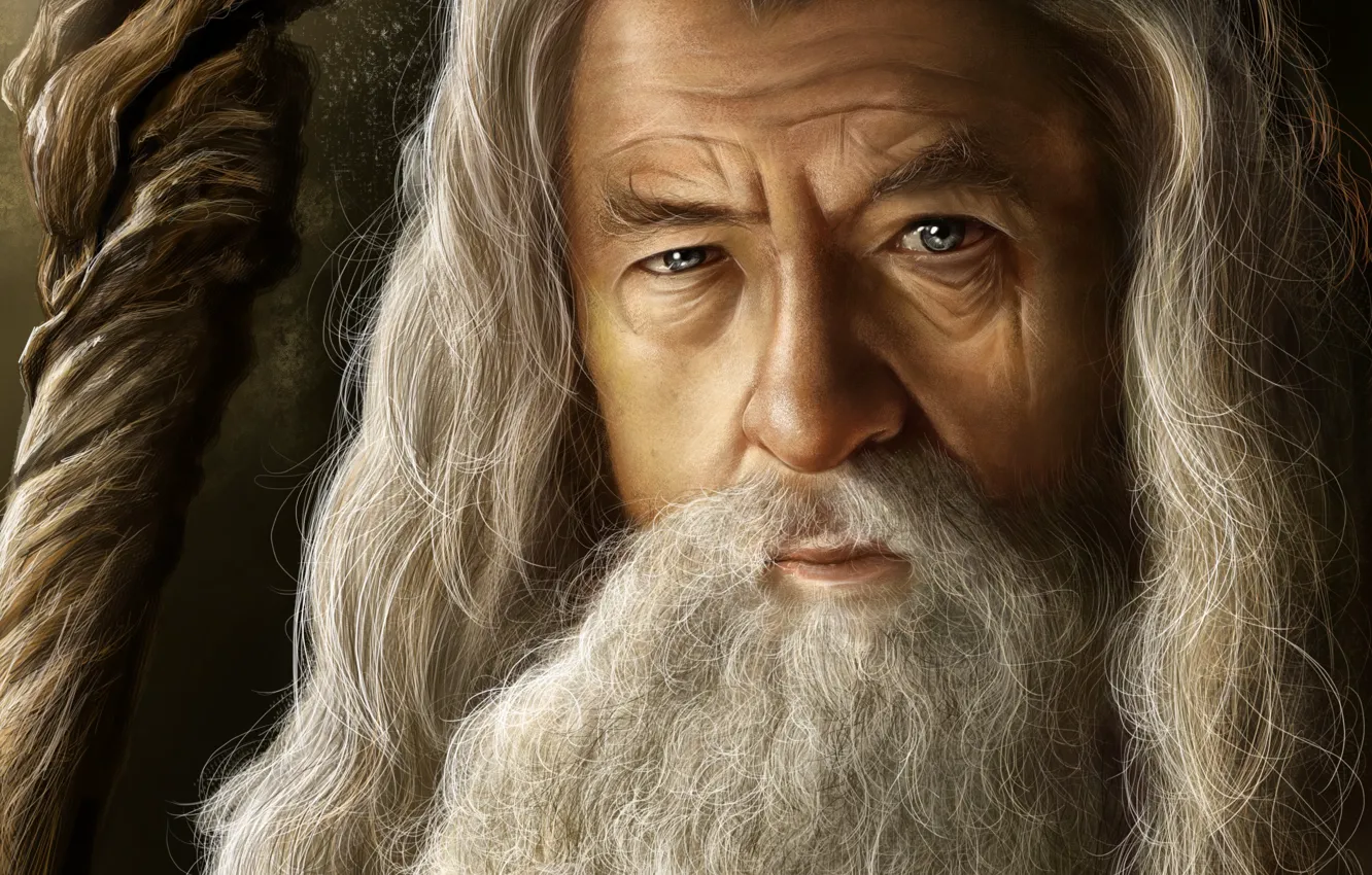 Photo wallpaper grey, the Lord of the rings, art, MAG, the old man, staff, beard, lord of …