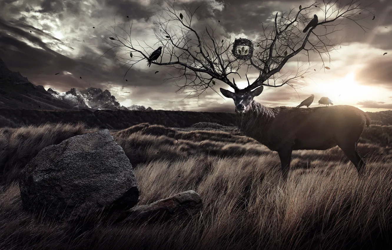 Photo wallpaper grass, landscape, birds, stone, deer, horns, branch, photo manipulation