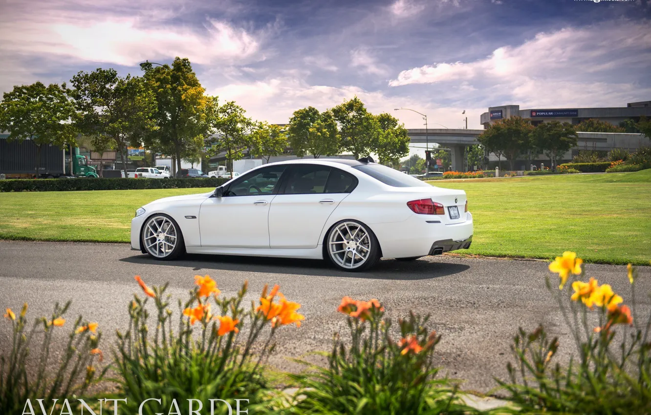 Photo wallpaper white, M-pack, agforged, BMW 5-Series