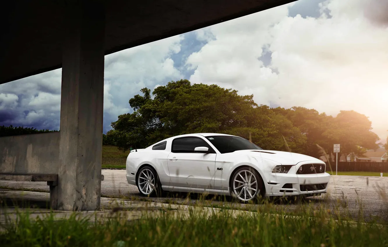Photo wallpaper Mustang, Ford, Muscle, Car, Front, Sun, White, CVT