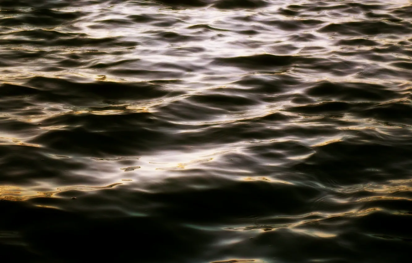 Photo wallpaper wave, the wind, The reflection of the sunset