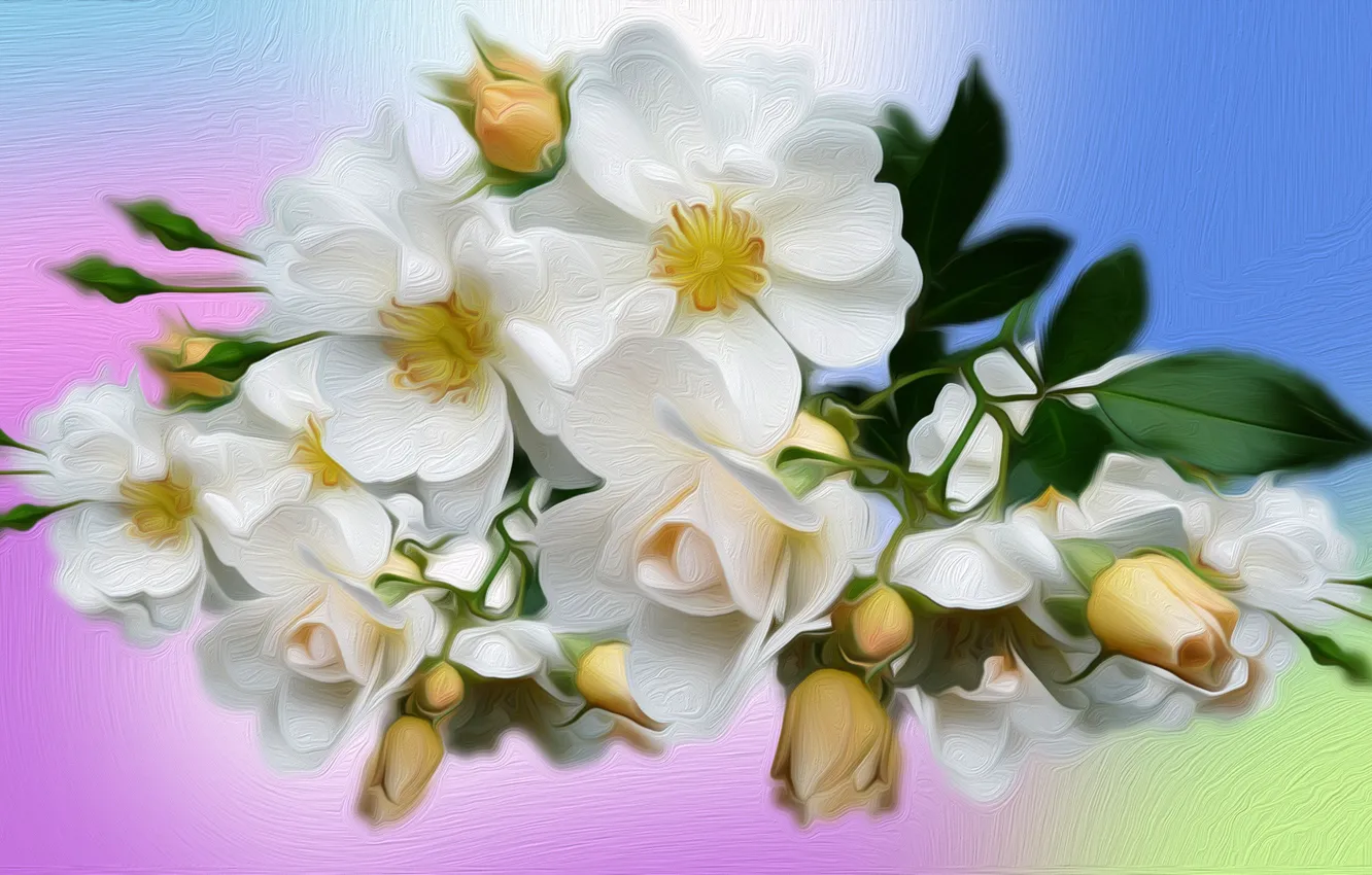 Photo wallpaper Graphics, Roses, White, Rozmyte