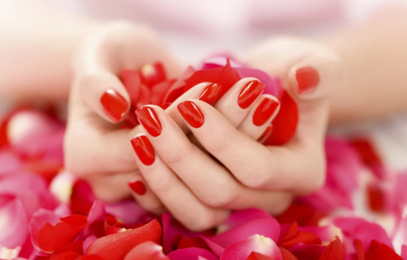 Photo wallpaper flowers, red, hands, petals, fingers, palm, nails, lacquer