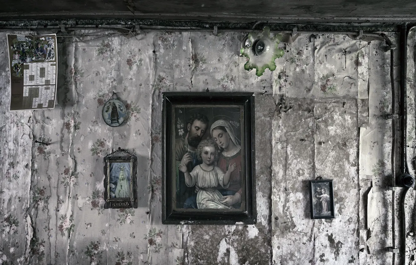 Wallpaper wall, picture, icons, naturalism for mobile and desktop