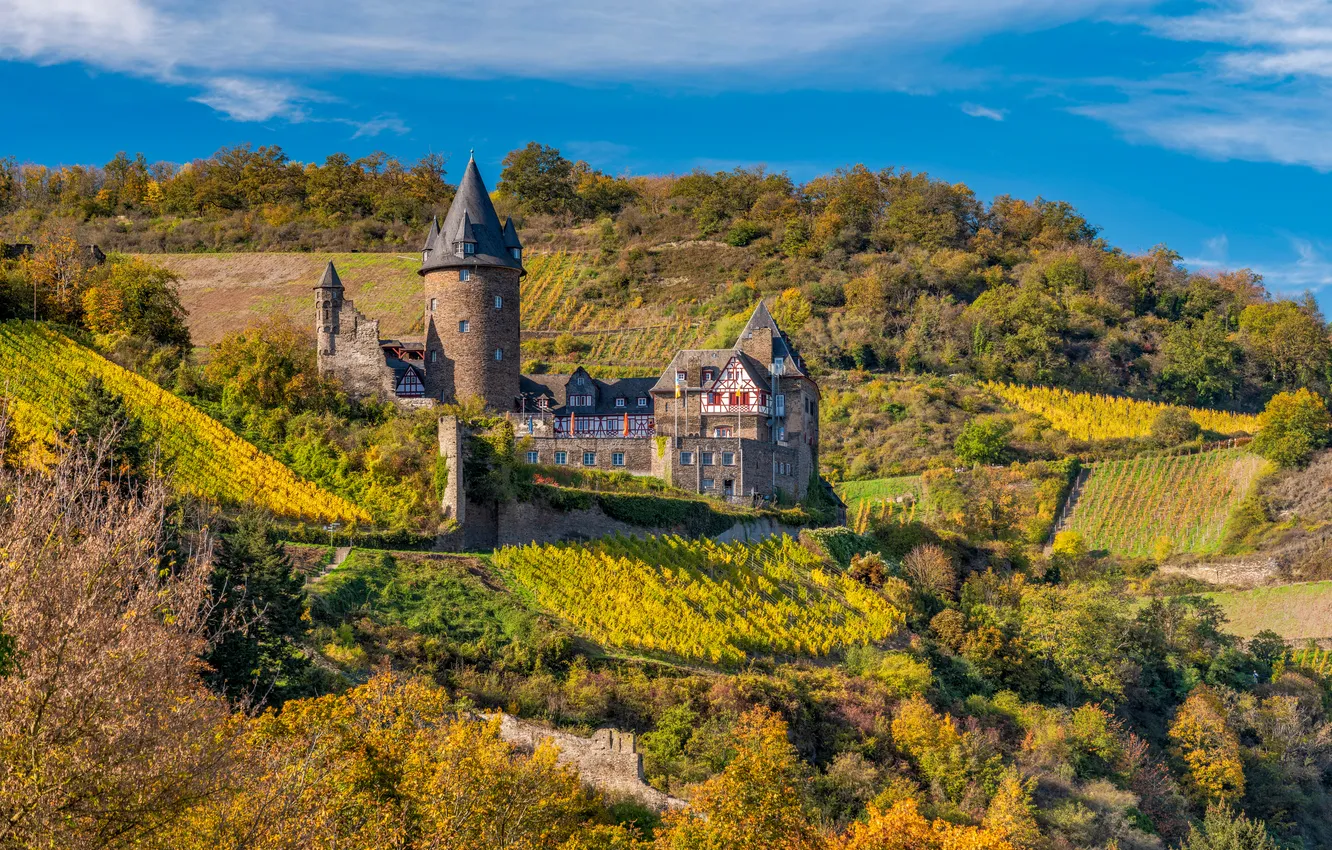 Photo wallpaper Tower, Autumn, Germany, Vineyard, Locks, Bacharach