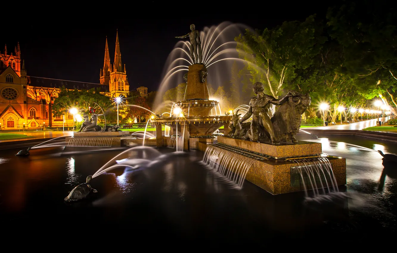 Photo wallpaper trees, night, design, lights, Park, castle, beauty, Australia