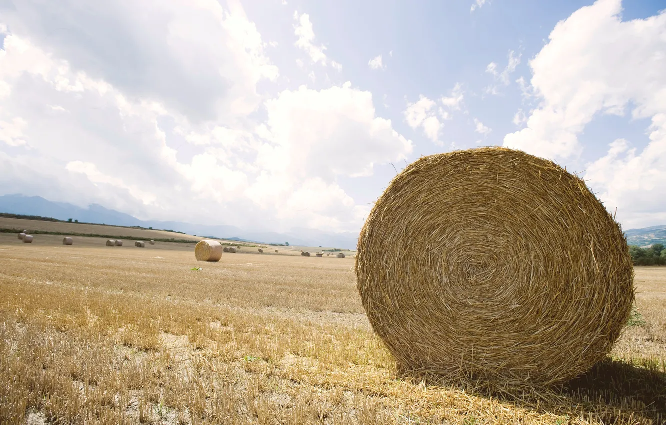 Photo wallpaper field, landscape, stack, horizon, hay, field, Expanse