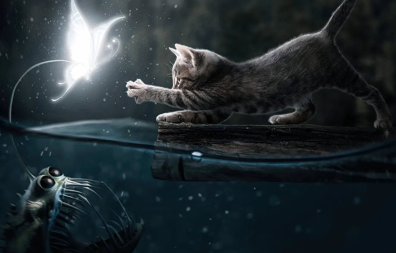Photo wallpaper Water, Night, Cat, Fish, Two, Pussy, Hunting