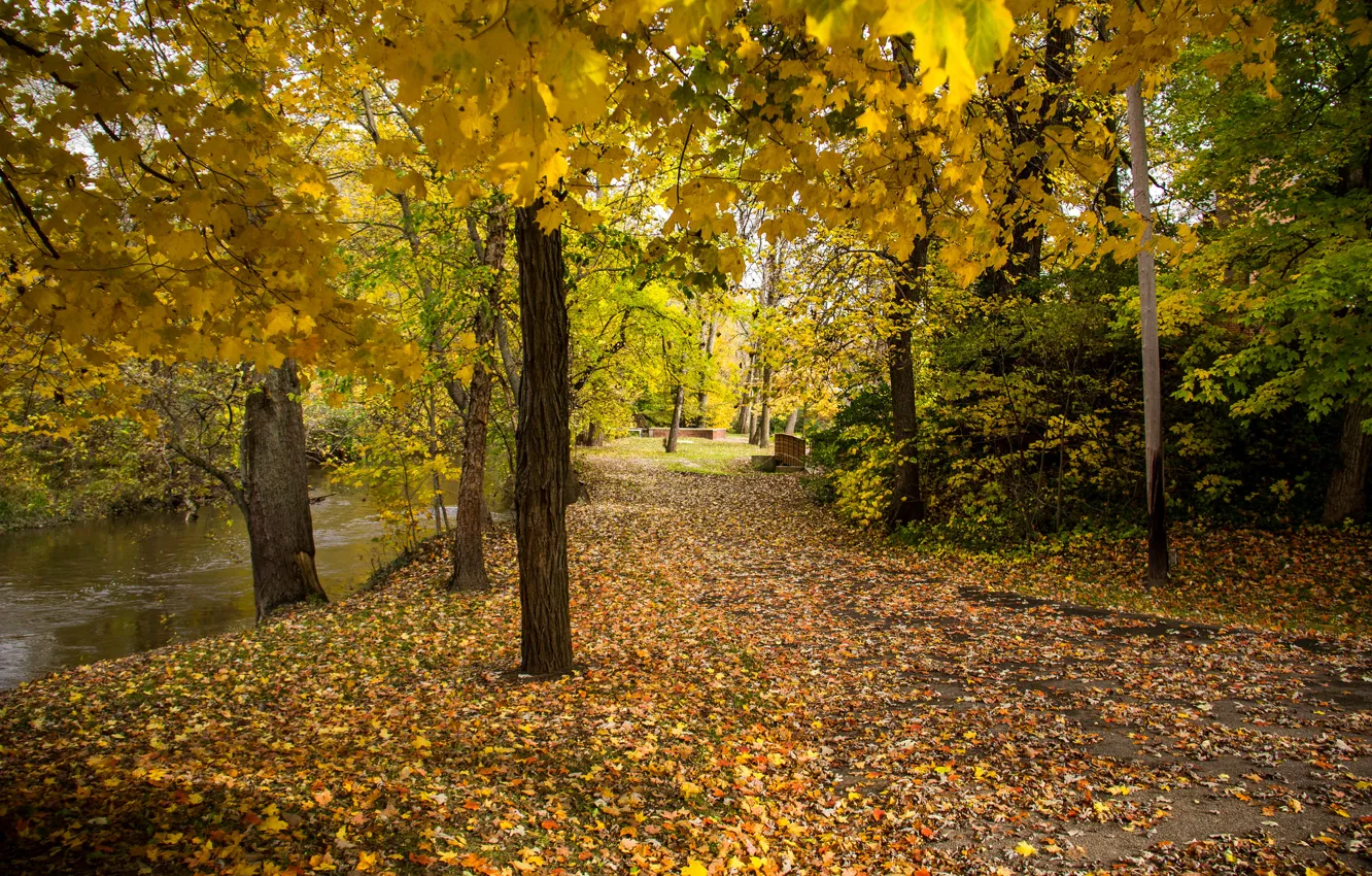 Photo wallpaper autumn, leaves, trees, pond, Park, bench