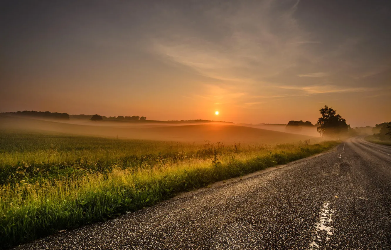 Photo wallpaper road, the sun, landscape, nature, fog, dawn, morning