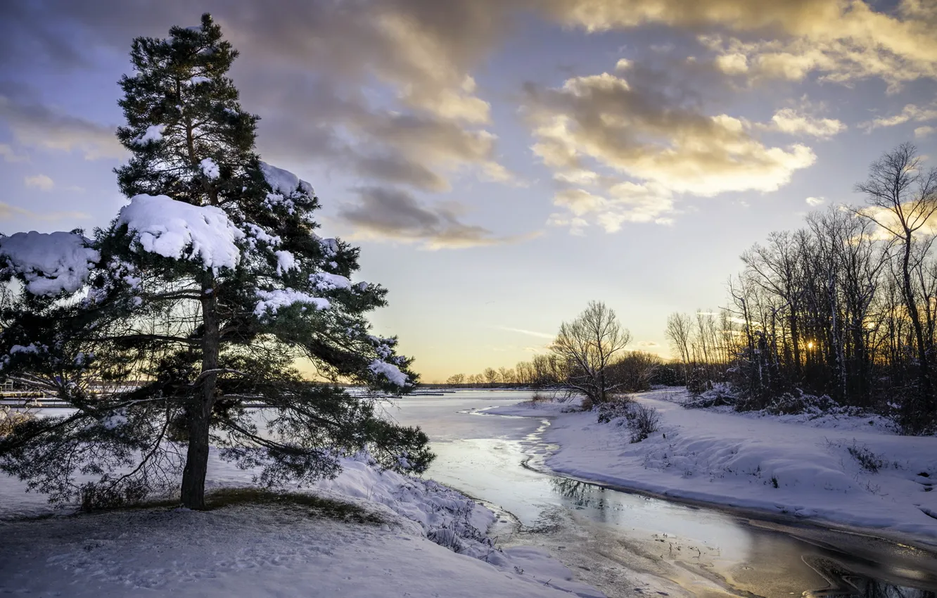 Photo wallpaper snow, river, tree