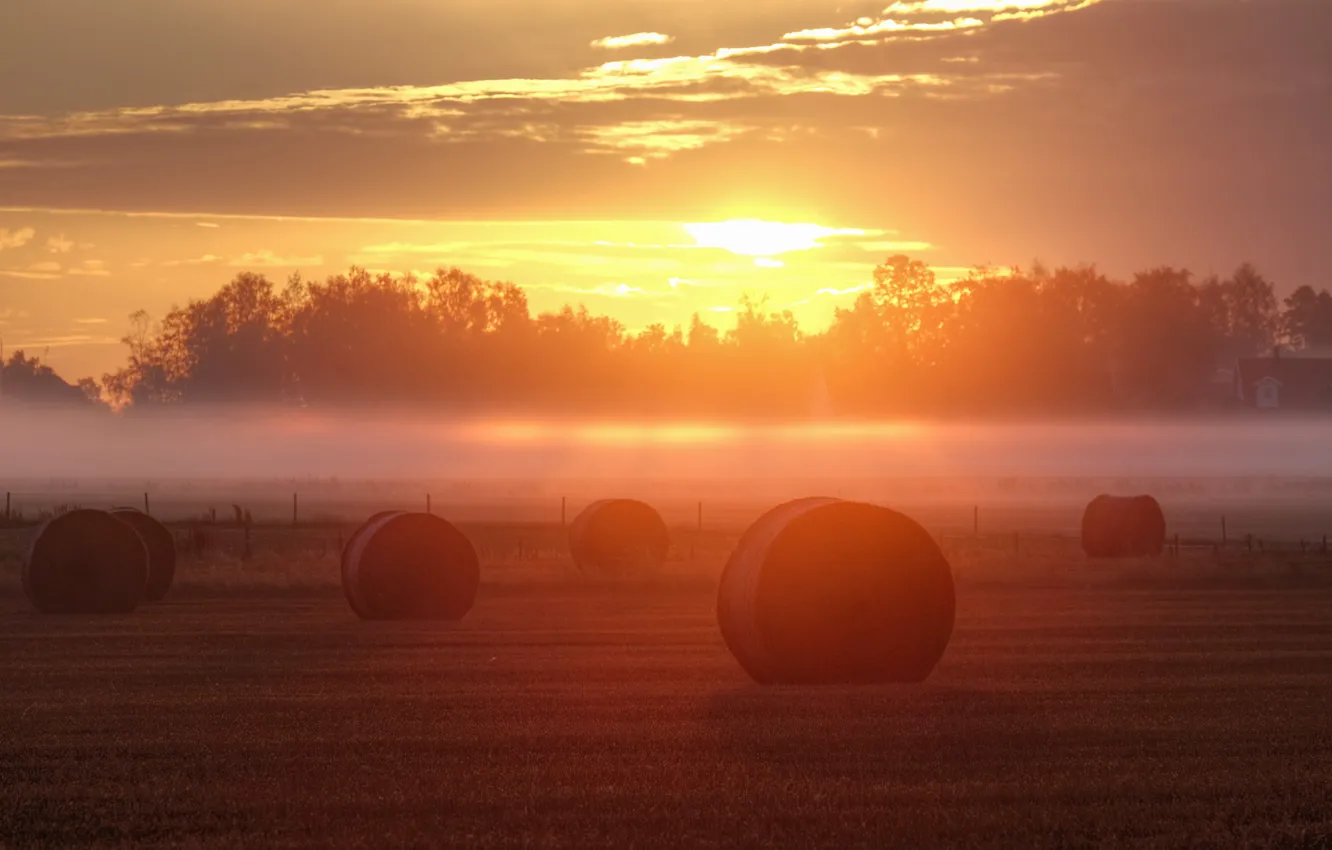 Photo wallpaper field, fog, sunrise, the fence, hay, farm