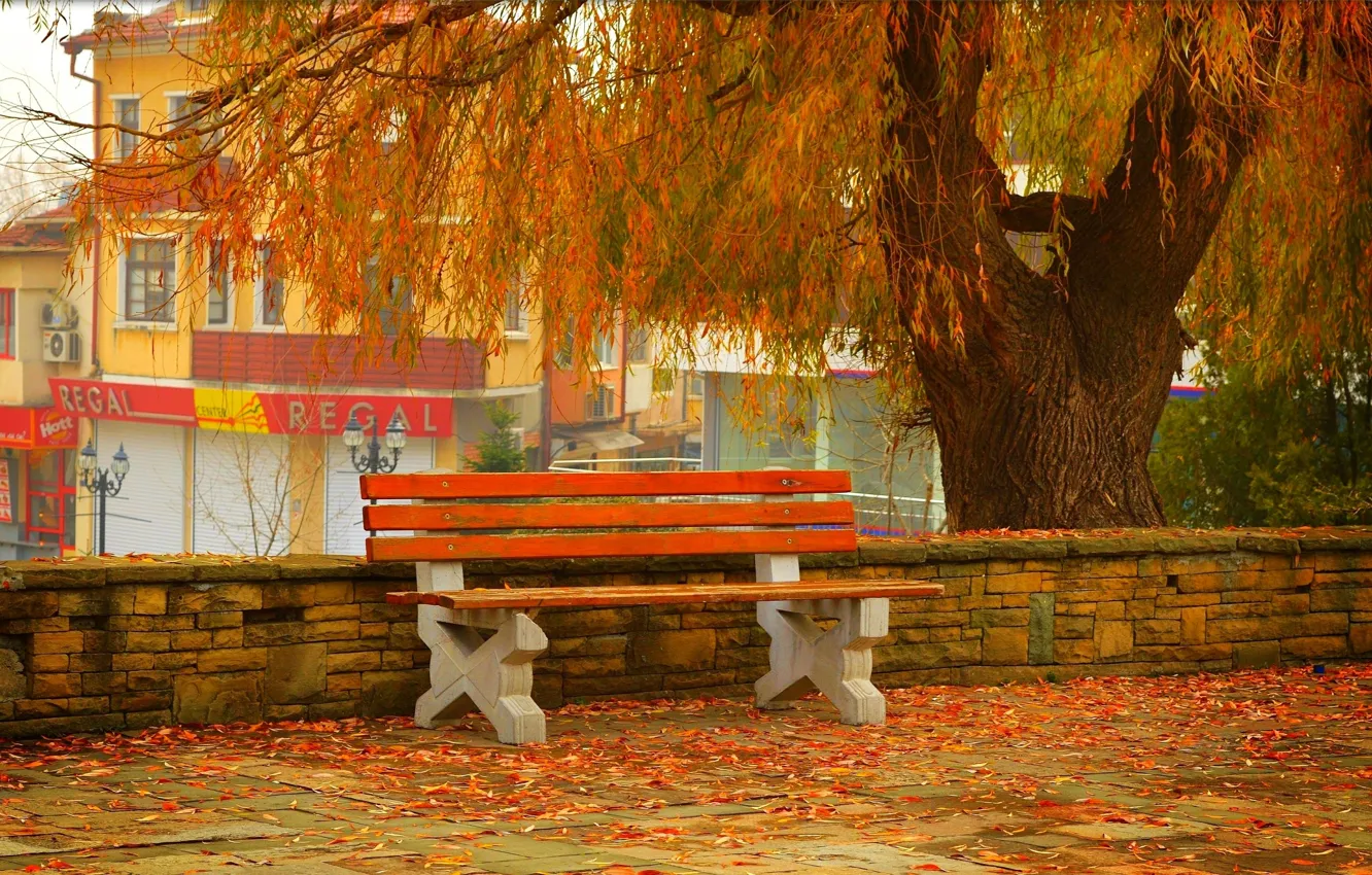 Photo wallpaper Autumn, Bench, Street, Fall, Foliage, Autumn, Street, Colors